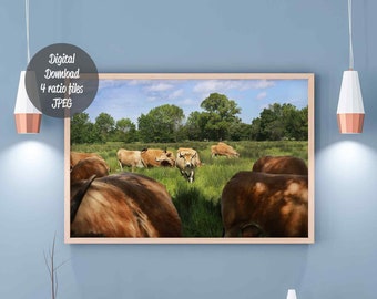 Farm animal Cow portrait digital print