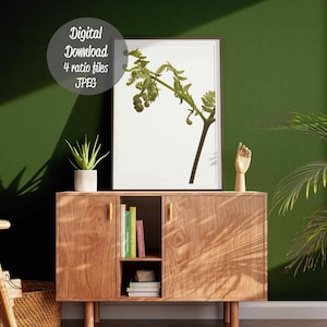 Fern mininal art print plant