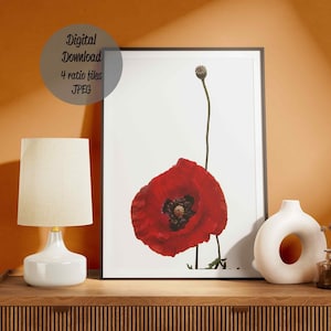 Red poppy flower print wall art