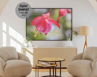 Pink flower fuschia floral hot art