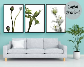 Set of 3 green plant prints wall art