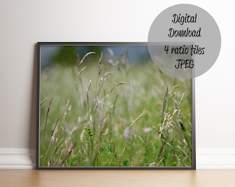 Field grass meadow photo art print