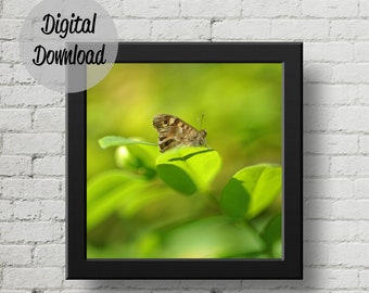 Square poster boho butterfly art print