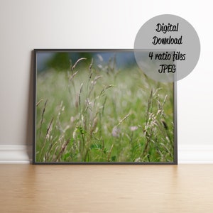 Field grass meadow photo art print