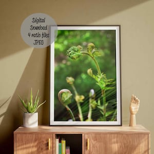 Green fern art print wall decor