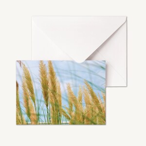 SET OF 5 - Landscape Photography | Scenery Cards | Photography Cards | Nature Photography Greetings Cards | Blank Inside Card