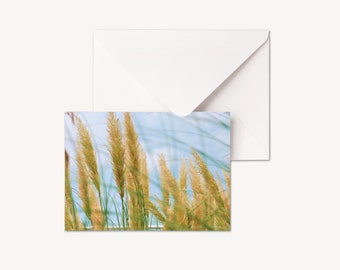 SET OF 5 - Landscape Photography | Scenery Cards | Photography Cards | Nature Photography Greetings Cards | Blank Inside Card