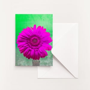 LOT DE 5 - Cartes pliées Photographie florale | Carte de voeux florale | carte de voeux fleur | Carte intérieure vierge | Toutes les cartes d'occasion | Guérir