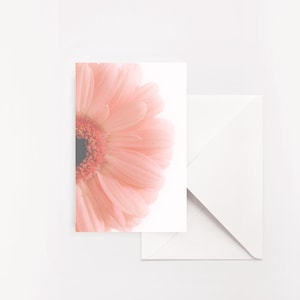 LOT DE 5 - Cartes pliées Photographie florale | Carte de voeux florale | carte de voeux rose | Carte intérieure vierge | Toutes les cartes d'occasion | Guérir