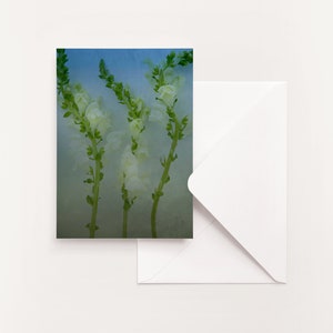 LOT DE 5 - Cartes pliées Photographie florale | Carte de voeux florale | carte de voeux fleur | Carte intérieure vierge | Toutes les cartes d'occasion | Guérir