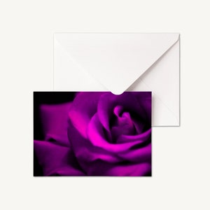 LOT DE 5 - Cartes pliées Photographie florale | Carte de voeux florale | carte de voeux fleur | Carte intérieure vierge | Carte de voeux roses