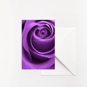 LOT DE 5 - Jeu de cartes pliées Photographie florale | Ensemble de cartes de voeux florales | de voeux rose pourpre | Carte intérieure vierge | Carte toutes occasions