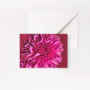 LOT DE 5 - Cartes pliées Photographie florale | Carte de voeux florale | carte de voeux fleur | Carte intérieure vierge | Toutes les cartes d'occasion | Carte rose