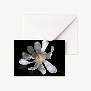 LOT DE 5 - Cartes pliées florales | Carte de voeux florale | carte de voeux fleur | Carte intérieure vierge | Toutes les cartes d'occasion | Je pense à vous