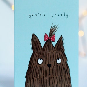Eres una tarjeta preciosa. San Valentín animales. amigos. amistad. te amo. amar. novia. novio. Día de San Valentín. aniversario