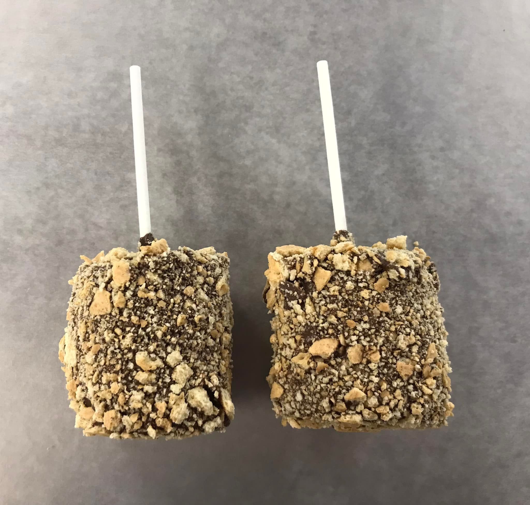 S'mores on a Stick - Etsy
