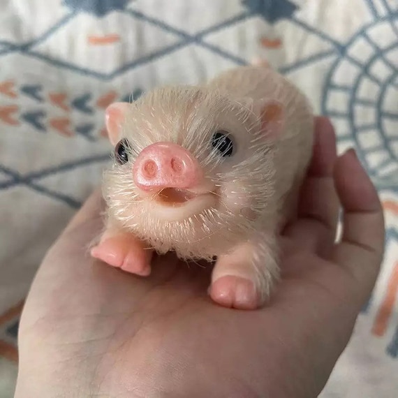 Reborn Silicone Mini Baby Pig Full Body Lifelike Piglet
