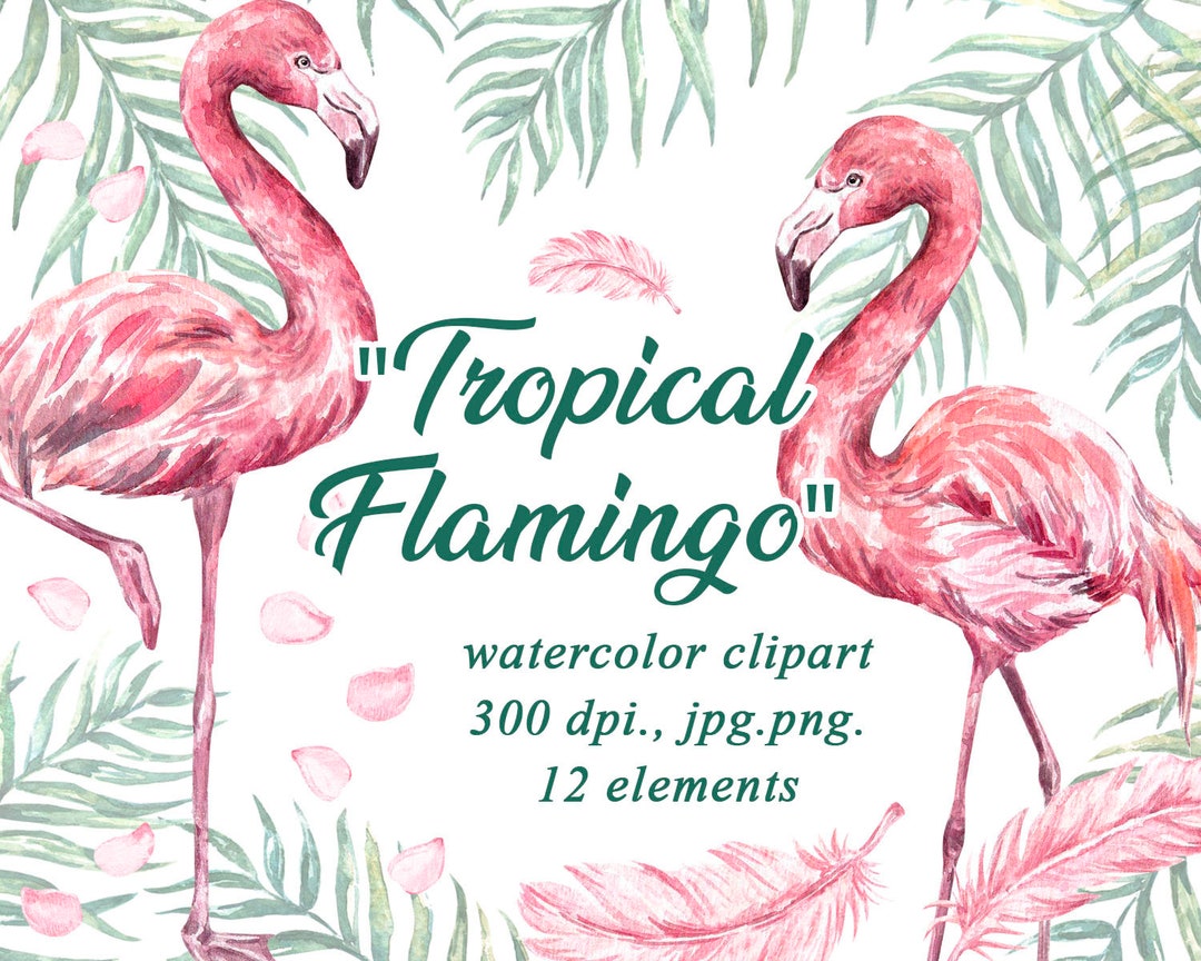Flamingo Watercolor Clipart Svg Decor Png Print Instant Download ...