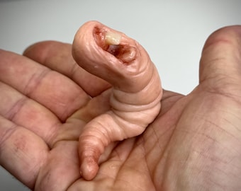 El Mordisqueador – Escultura de criatura grotesca – Extraña rareza hecha a mano en arcilla polimérica