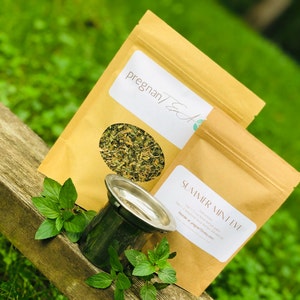 May include: Two brown paper bags with labels. The first bag is labeled "pregnan/Tea" and contains loose leaf tea. The second bag is labeled "SUMMER MINT EVE" and includes instructions for use. A silver tea infuser is in the foreground.