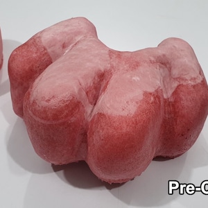 Foam Foot Paws Canine Feline Cat Wolf Toony easy to glue for your Fursuit or Cosplay DiY