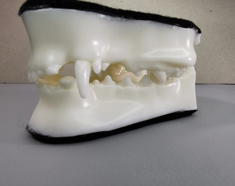 Canine Jaw 50/50 normal/corrupt set Top and Bottom part for your fursuit or costume!