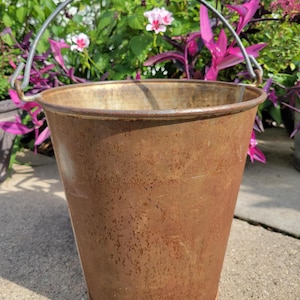 Puede incluir: Un cubo de metal oxidado y desgastado con un asa de metal curvada. El cubo tiene forma cilíndrica y muestra signos de uso. El fondo presenta follaje verde y flores rosas, lo que sugiere un entorno al aire libre.