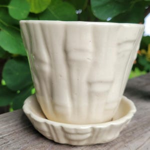 May include: A cream-colored ceramic plant pot with a matching saucer, featuring a raised, vertical, bamboo-like textured pattern around the exterior of the pot and the rim of the saucer, with a glossy finish and a wide, open top design.