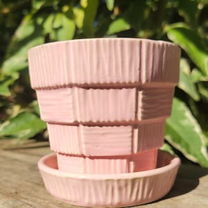 May include: A light pink ceramic plant pot with a matching saucer, featuring a textured basket-weave pattern on the exterior. The cylindrical pot has a slightly tapered base and a wide rim, with vertical ridges creating a woven appearance.