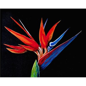 Bird of Paradise Note Cards - 5 including envelopes