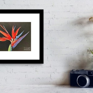 Bird of Paradise Giclée