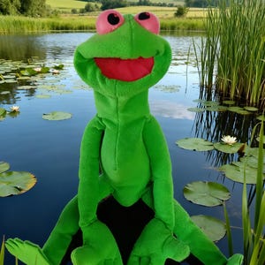 Amazon tree frog puppet