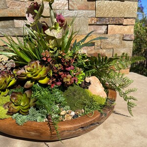 May include: A wooden bowl filled with a succulent arrangement featuring green and brown succulents, moss, and a fern. The bowl is decorated with small white stones.