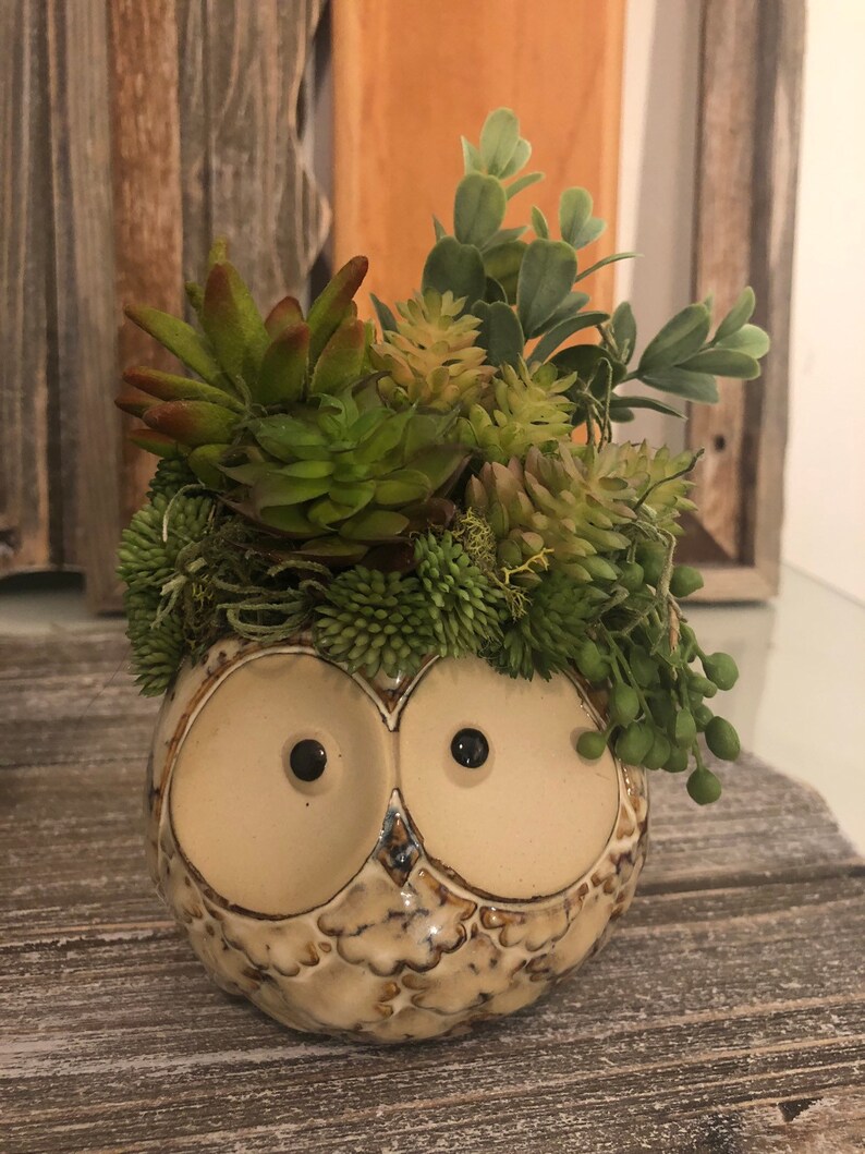 Owl succulent planter. Bird decor. Owl arrangement. Floral Etsy