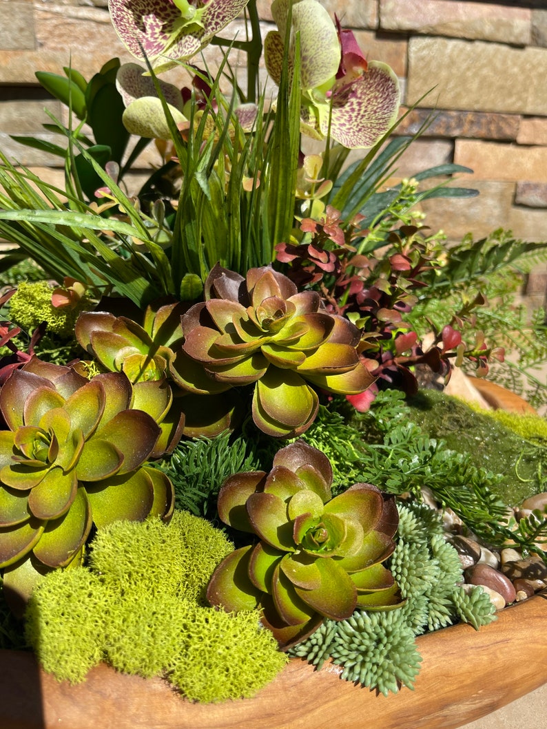May include: A wooden bowl filled with a succulent garden arrangement. The arrangement features green and brown succulents, green moss, and green and brown leafy plants.