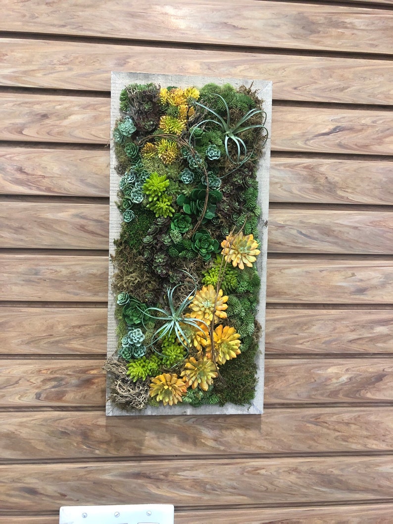 Succulent Wall Art. Wall Succulent. Wall Decor. Floral Decor. Etsy