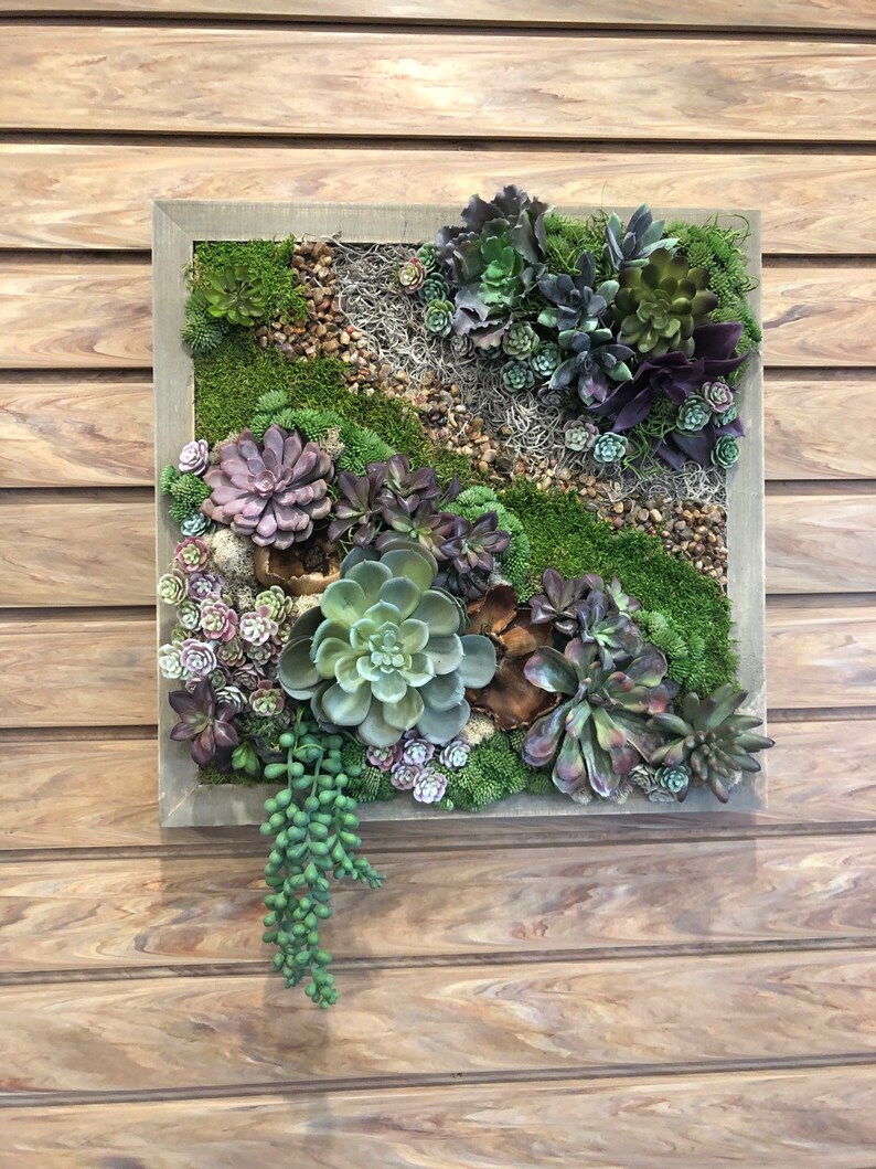 Faux Succulent Wall Art Arrangement Vertical Garden Hanging Framed Succulents Cactus Spring Easter