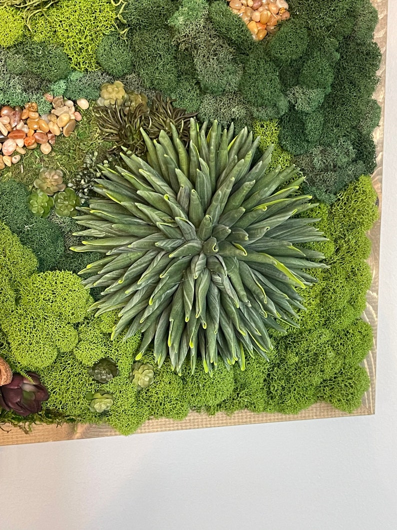 Puede incluir: Una pieza de arte de pared de musgo verde con una gran suculenta verde en el centro. El musgo est&aacute; dispuesto en una variedad de texturas y tonos de verde.