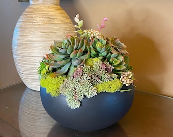 Faux succulent decor, faux succulent arrangement, faux succulent centerpiece, succulent garden, centerpiece.