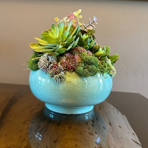 Faux Succulent Arrangement. Succulent Centerpiece. Succulent Decor. Round succulent Decor. Table top decor. Centerpiece.