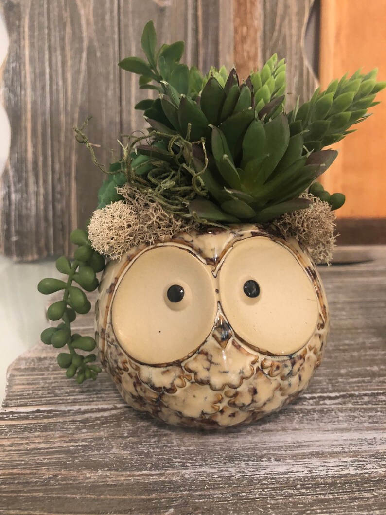 Owl succulent planter. Bird decor. Owl arrangement. Floral Etsy