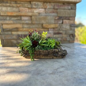 Petrified Wood Decor.  Petrified Wood Centerpiece.  Succulent Arrangement.  Succulent Centerpiece.