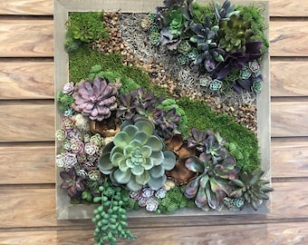 Faux succulent wall art. Faux succulent arrangement. Vertical garden. Wall art. Succulent hanging. Framed succulents. Cactus.
