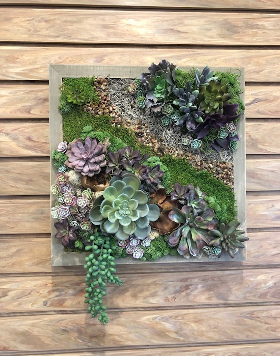 Faux Succulent Wall Art. Faux Succulent Arrangement. Vertical Garden. Wall  Art. Succulent Hanging. Framed Succulents. Cactus. - Etsy Denmark