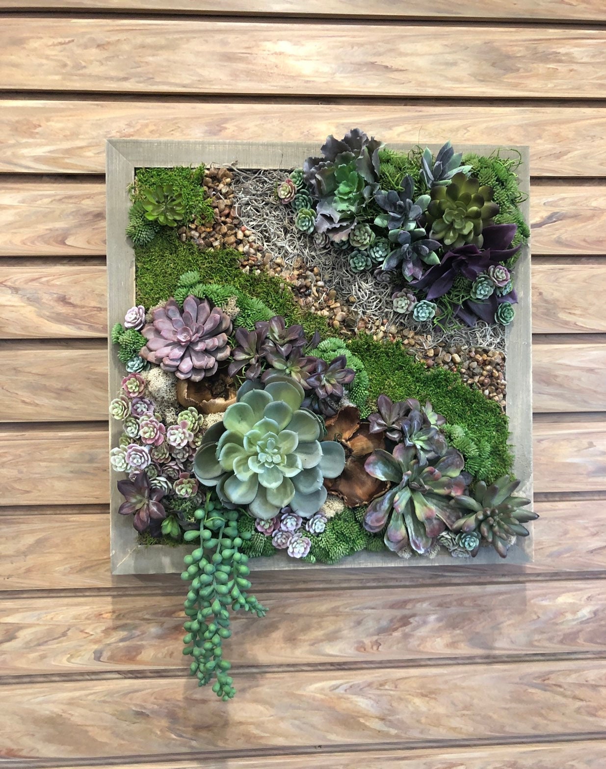 Faux Succulent Wall Art. Faux Succulent Arrangement. Vertical Etsy