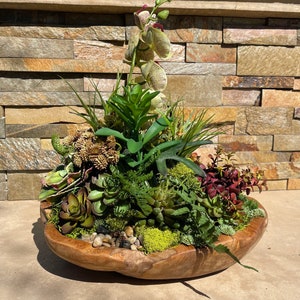 May include: A wooden bowl filled with a variety of succulents and a single orchid flower. The bowl is made of natural wood and has a rustic, organic look.