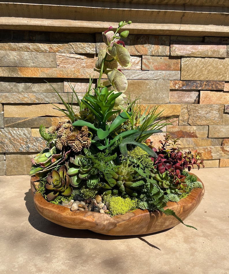 May include: A wooden bowl filled with a variety of succulents and a single orchid flower. The bowl is made of natural wood and has a rustic, organic look.