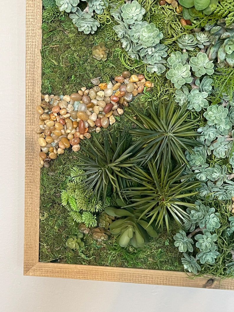 Puede incluir: Una pieza de arte de pared enmarcada que presenta una variedad de suculentas verdes y musgo, con peque&ntilde;as piedras marrones y beige dispuestas en una l&iacute;nea curva.