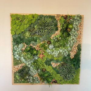 Puede incluir: Una pieza de arte de pared enmarcada de musgo verde y suculentas. La pieza presenta una variedad de suculentas y musgo verdes, dispuestos en un patr&oacute;n natural y org&aacute;nico. El marco es de madera y tiene un acabado natural.
