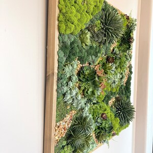 Puede incluir: Una pieza de arte de pared cuadrada enmarcada que presenta un arreglo de musgo verde y suculentas. La pieza est&aacute; enmarcada en un marco de madera natural.